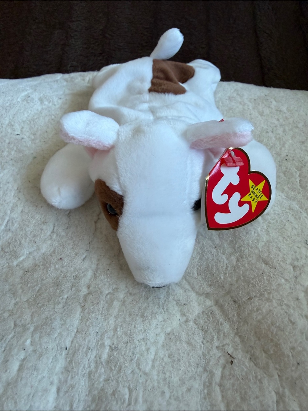 Ty NWT Beanie Baby Butch Dog Plush in White and Brown